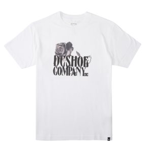Koszulki Męskie DC Fanatic Heritage Białe | 13748NAIB